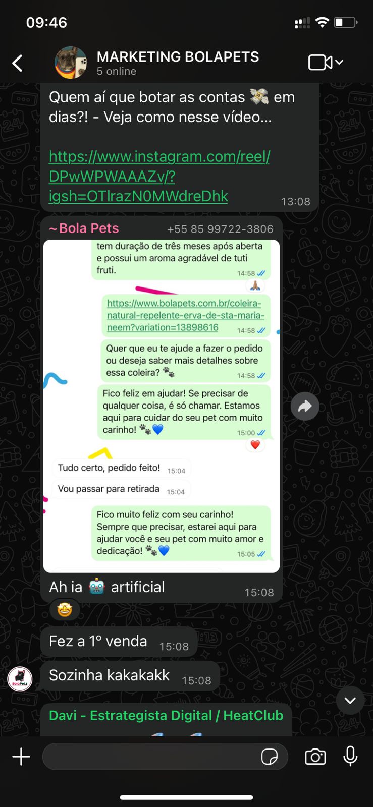 Marketing BolaPets